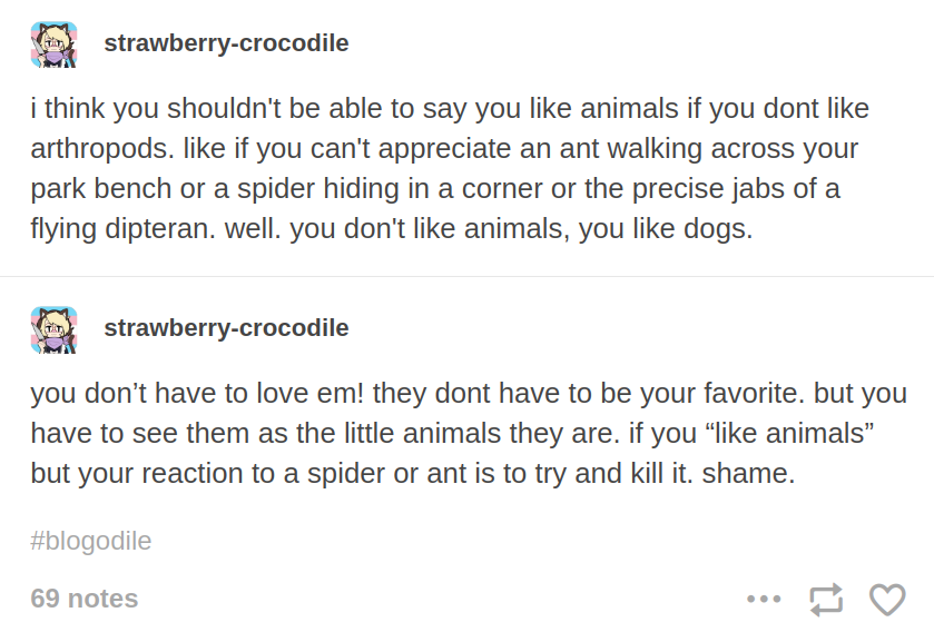 Two Tumblr posts by strawberry-crocodile: 'i think you shouldn't be able to say you like animals if you don't like arthropods. like if you can't appreciate an ant walking across your park bench or a spider hiding in a corner or the precise jabs of a flying dipteran. wll. you don't like animals, you like dogs.' next post reads, 'you don't have to love em! they dont have to be your favorite. but you have to see them as the little animals they are. if you "like animals" but your reaction to a spider or ant is to try and kill it. shame'