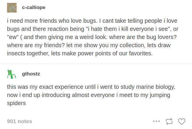 Two Tumblr posts. First one by c-calliope: 'i need more friends who love bugs. I can't take telling people i love bugs and there reaction being "i hate them i kill everyone i see", or "ew" (and then giving me a weird look. where are the bug loves? where are my friends? let me show you my collection, let's draw insects together, lets make power points of our favorites.'  followed by a reply by gthostz: 'this was my exact experience until i went to study marine biology, now i end up introducing almost everyone i meet to me jumping spiders'