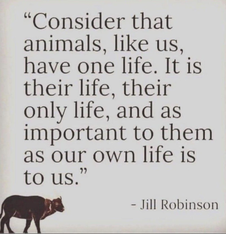 Quote by Jill Robinson: 'Consider that animals, like us, have one life. It is their life, their only life, and as important to them as our own life is to us.'